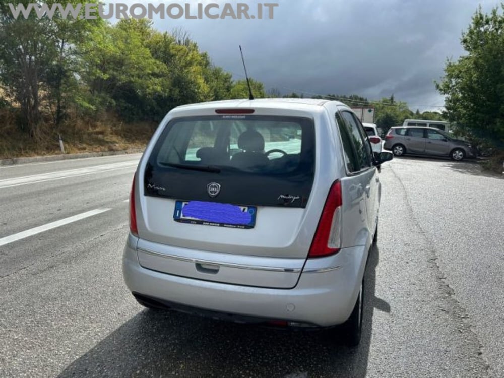 Lancia Musa usata a Campobasso (4)