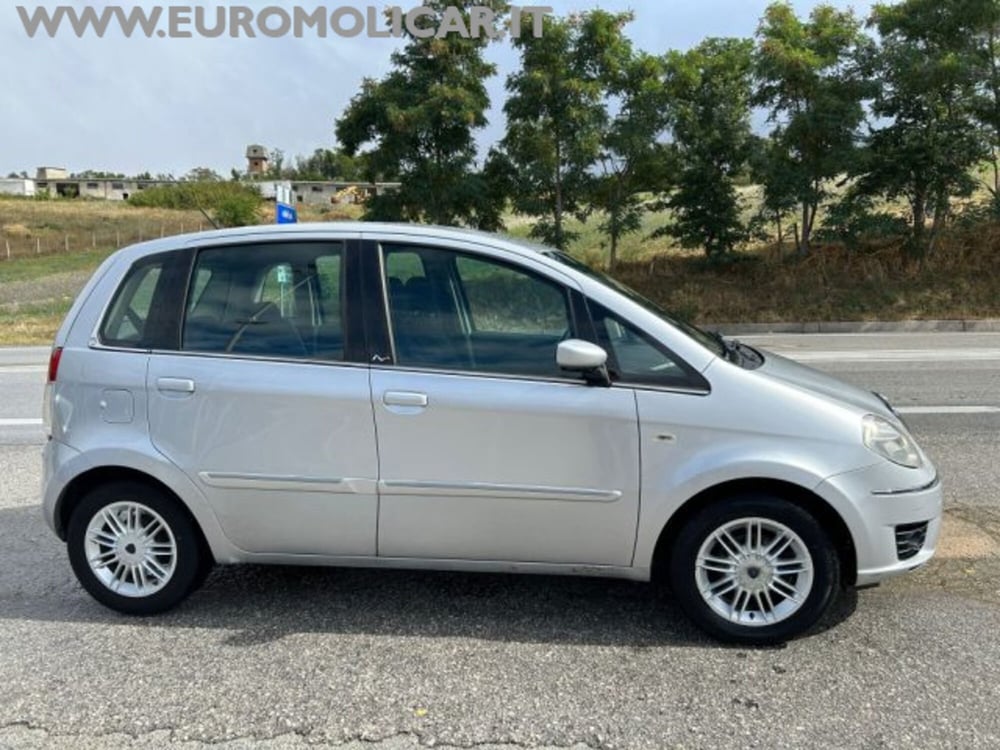 Lancia Musa usata a Campobasso (6)