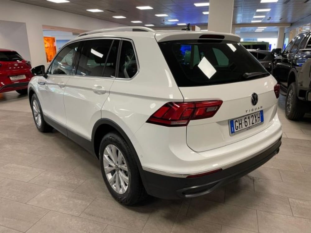 Volkswagen Tiguan usata a Cuneo (5)
