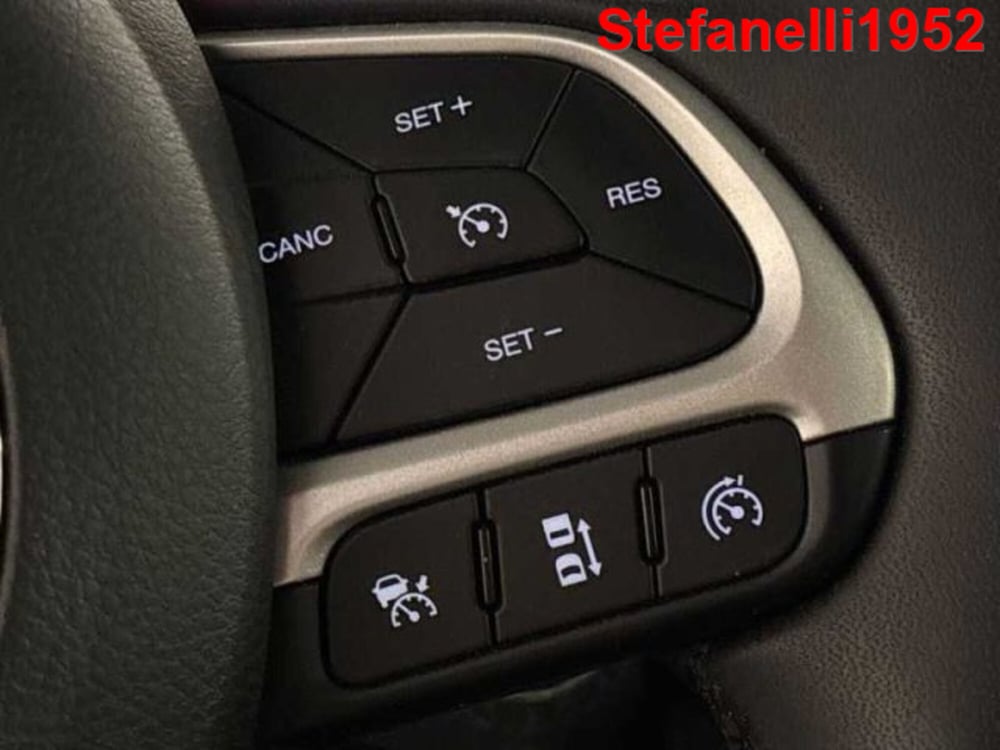 Jeep Renegade usata a Bologna (19)