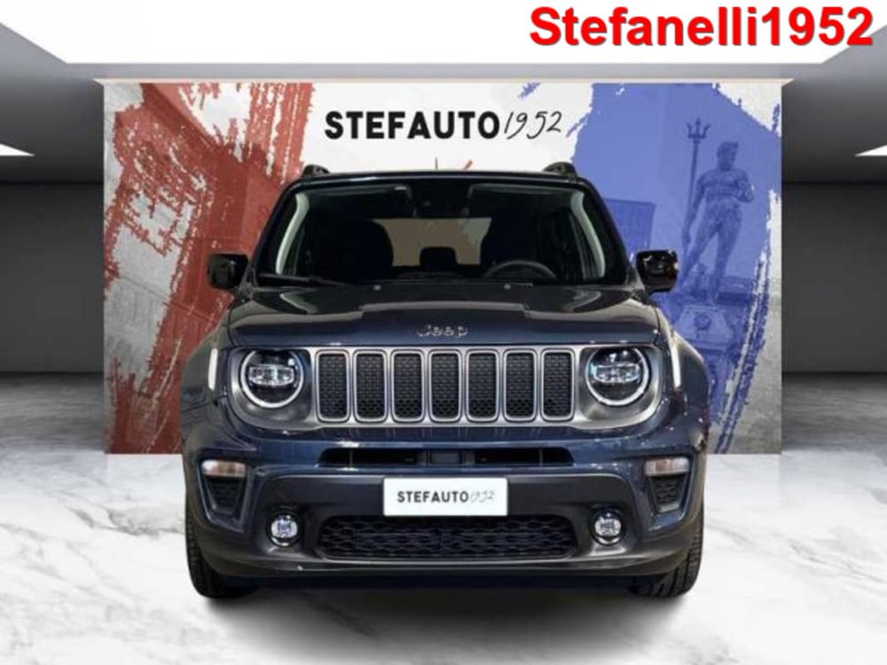 Jeep Renegade usata a Bologna (2)