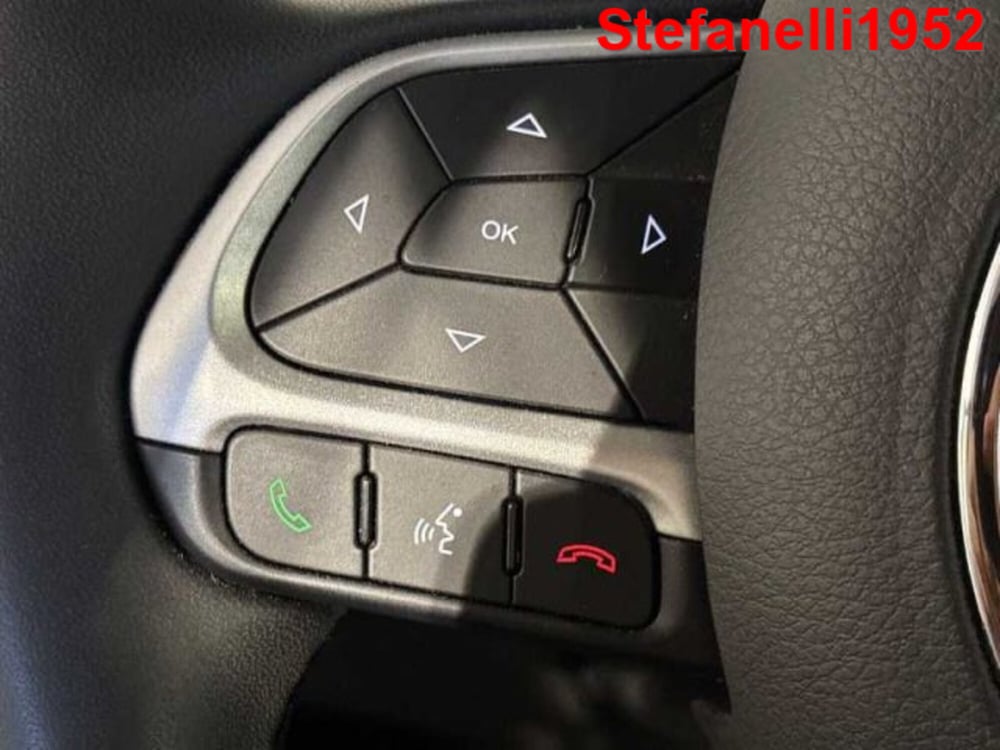 Jeep Renegade usata a Bologna (20)