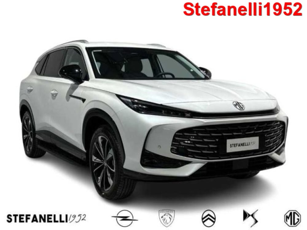 Mg HS nuova a Bologna