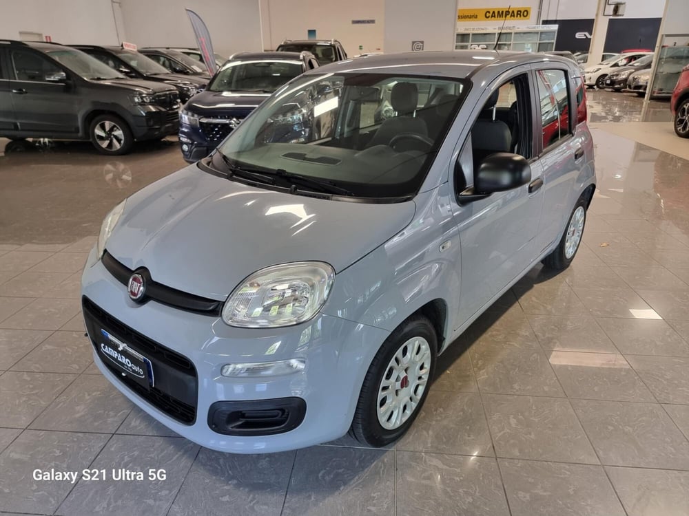 Fiat Panda usata a Alessandria (2)