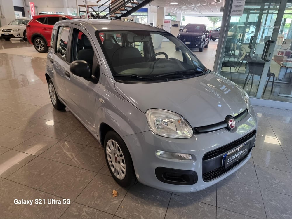 Fiat Panda usata a Alessandria (3)