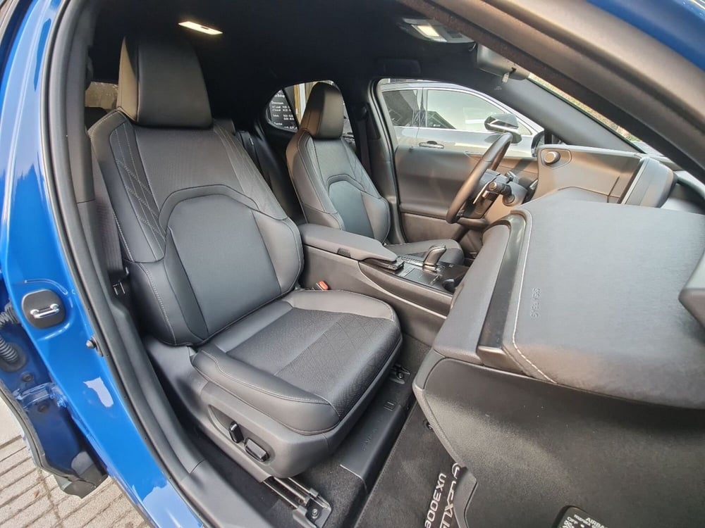 Lexus UX usata a Forlì-Cesena (12)