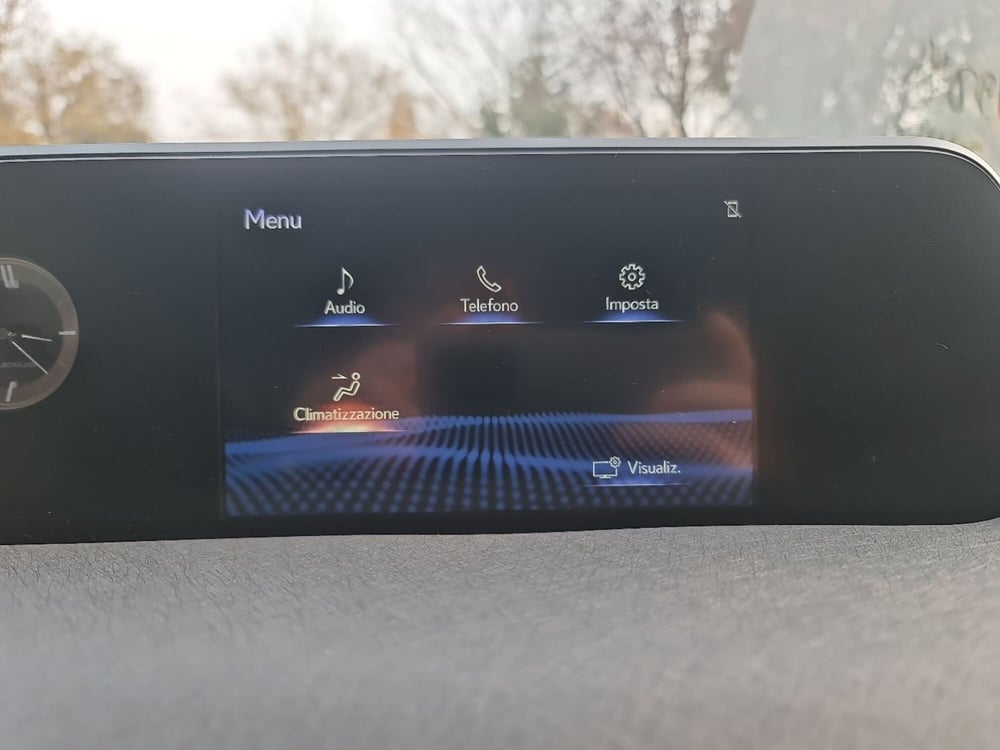 Lexus UX usata a Forlì-Cesena (15)