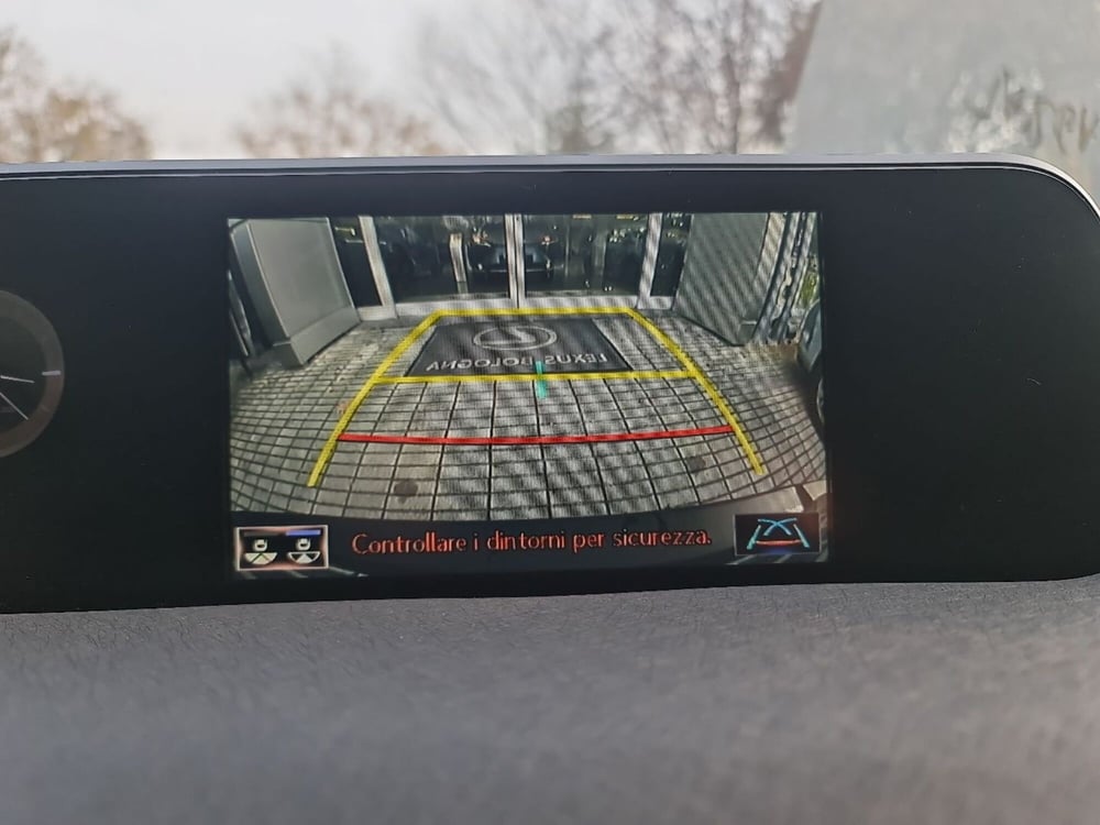 Lexus UX usata a Forlì-Cesena (16)