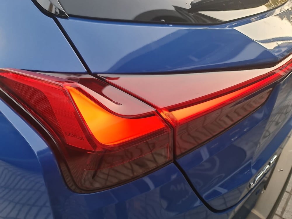 Lexus UX usata a Forlì-Cesena (20)