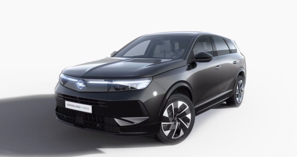 Opel Grandland usata a Bari (2)