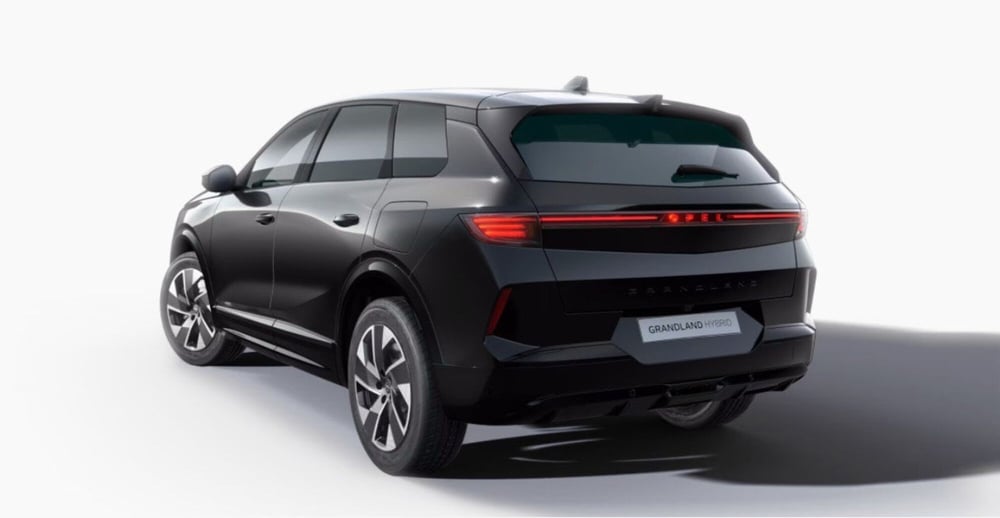 Opel Grandland usata a Bari (4)