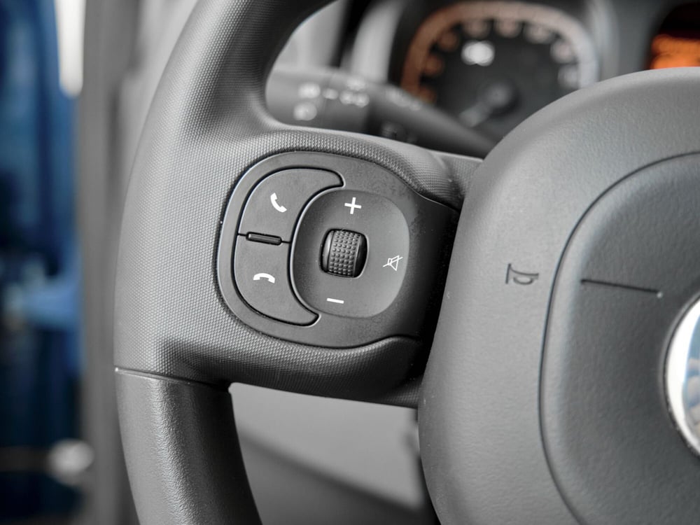 Fiat Panda Cross usata a Prato (14)