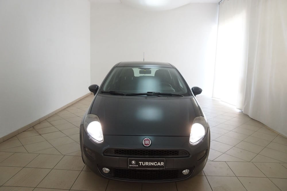 Fiat Punto usata a Torino (17)