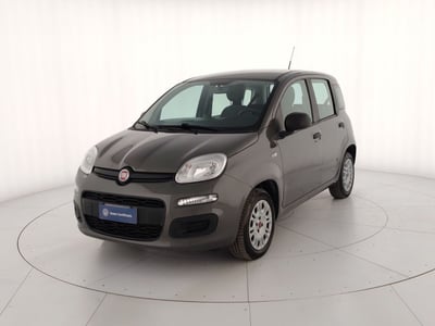 Fiat Panda 1.2 EasyPower del 2021 usata a Massa