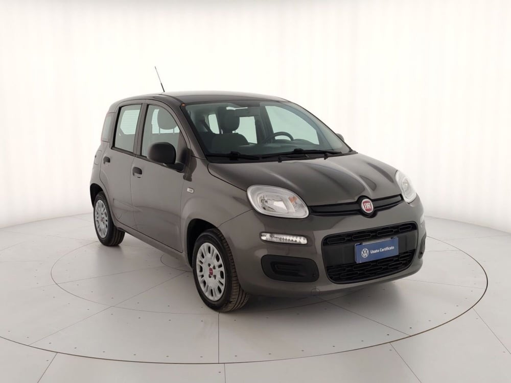 Fiat Panda usata a Massa-Carrara (4)