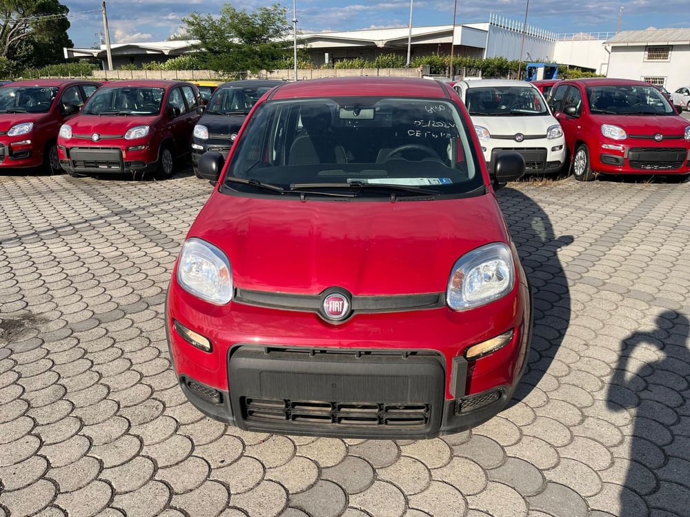 Fiat Panda Cross nuova a Lucca (2)