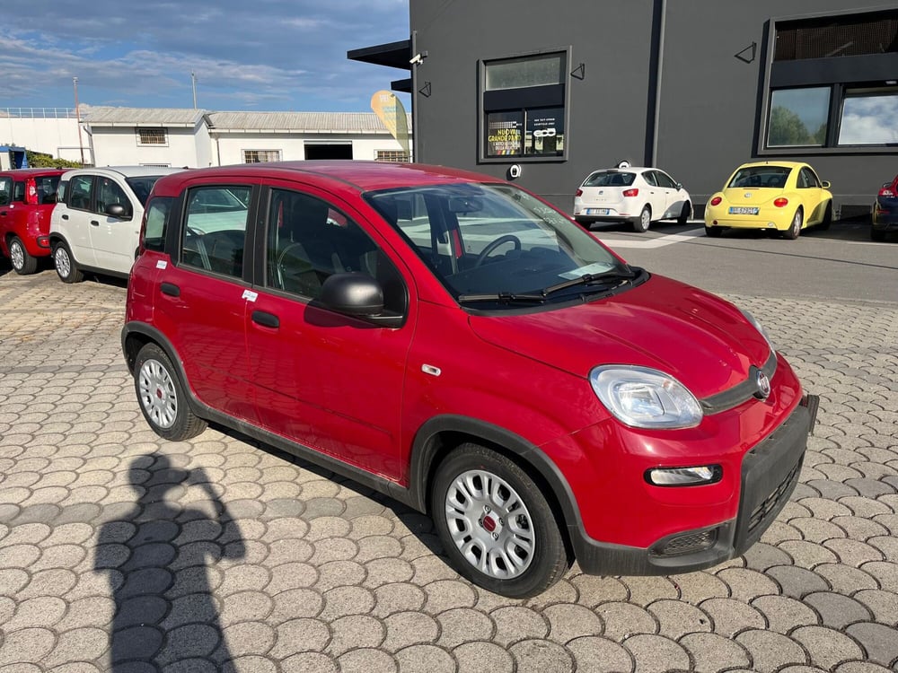 Fiat Panda Cross nuova a Lucca (3)