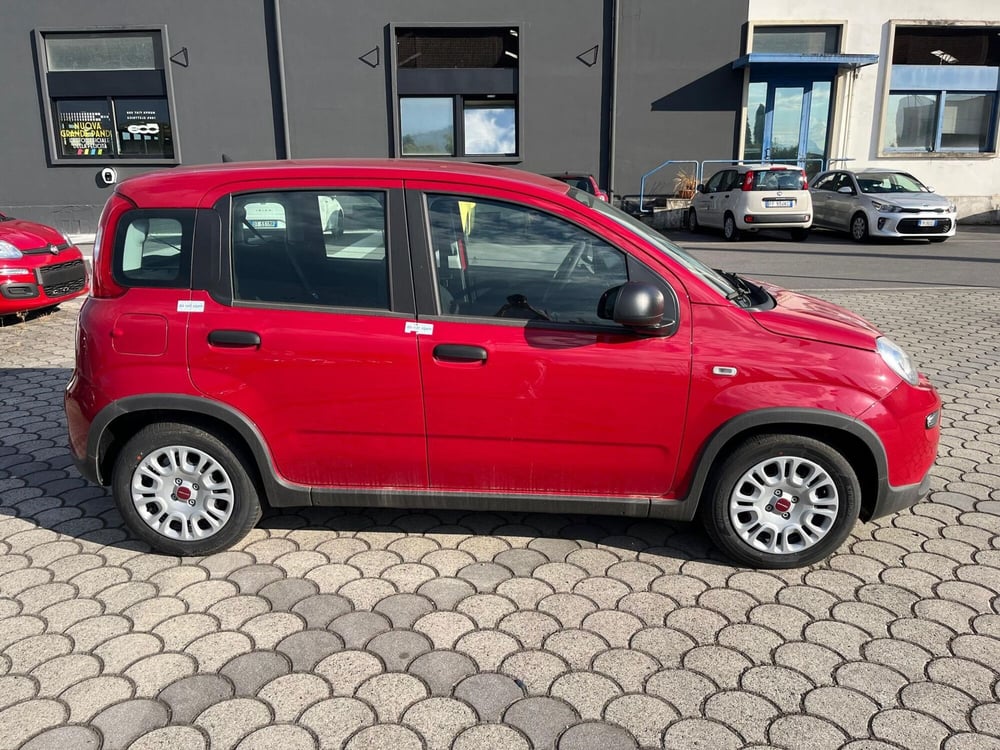 Fiat Panda Cross nuova a Lucca (4)