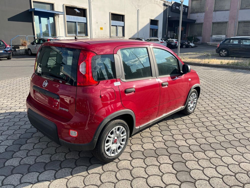 Fiat Panda Cross nuova a Lucca (5)