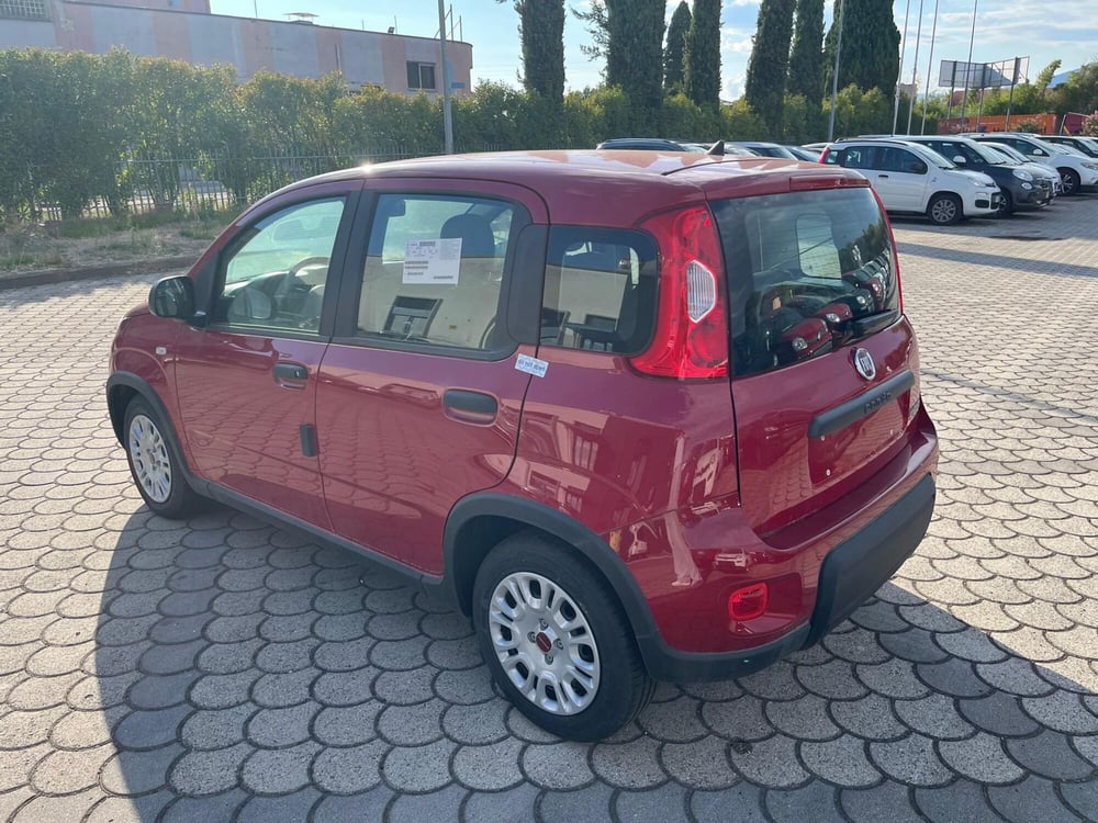 Fiat Panda Cross nuova a Lucca (7)
