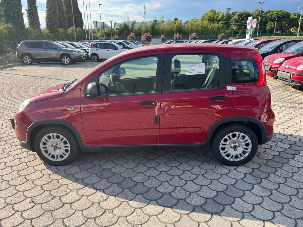 Fiat Panda Cross nuova a Lucca (8)