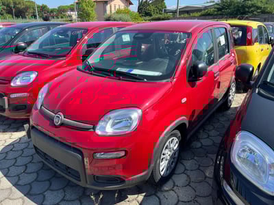Fiat Panda Cross Cross 1.0 FireFly S&amp;S Hybrid nuova a Altopascio