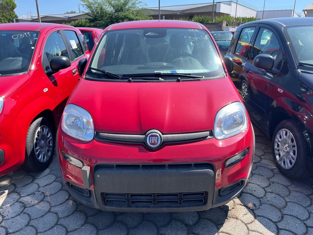 Fiat Panda Cross nuova a Lucca (2)