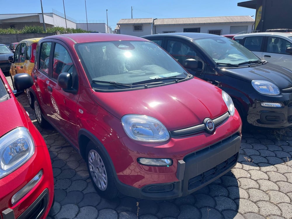 Fiat Panda Cross nuova a Lucca (3)
