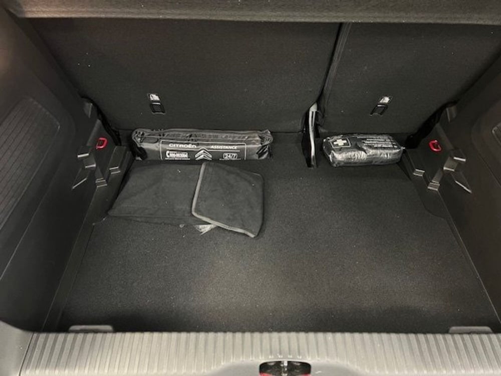 Citroen C3 Aircross usata a Alessandria (19)