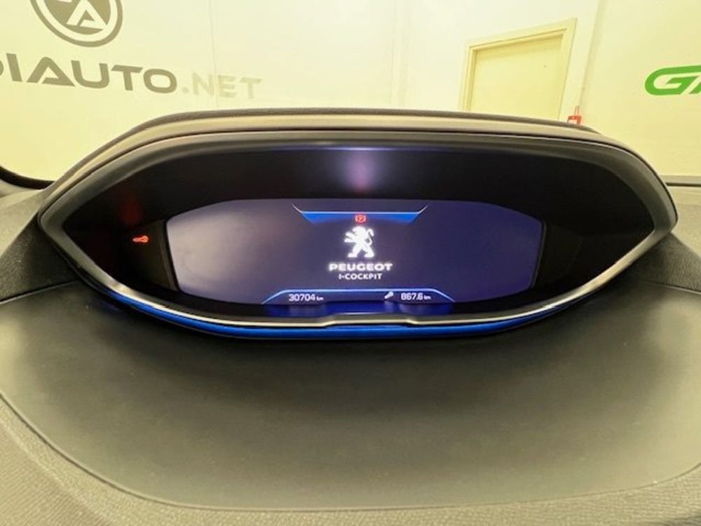 Peugeot 5008 usata a Alessandria (10)