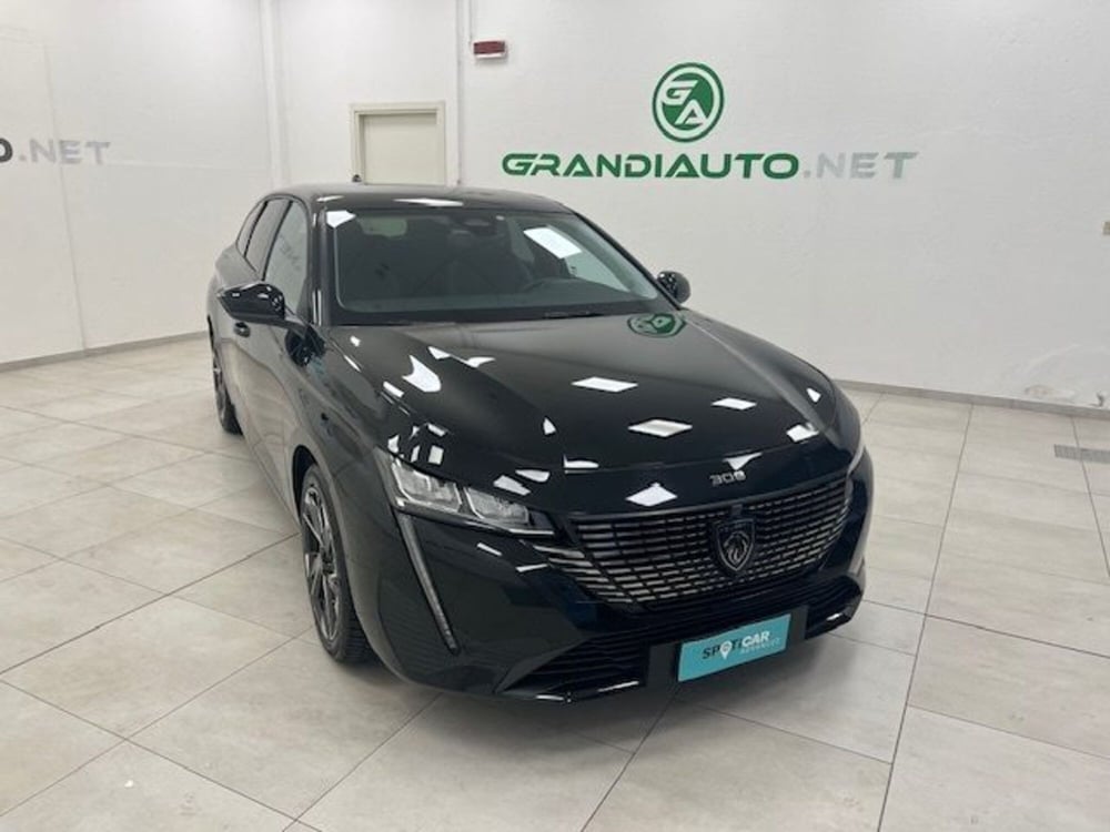 Peugeot 308 SW usata a Alessandria (6)