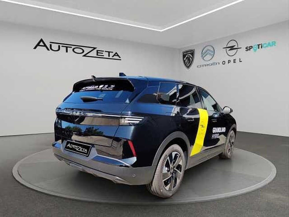 Opel Grandland usata a Vibo Valentia (5)