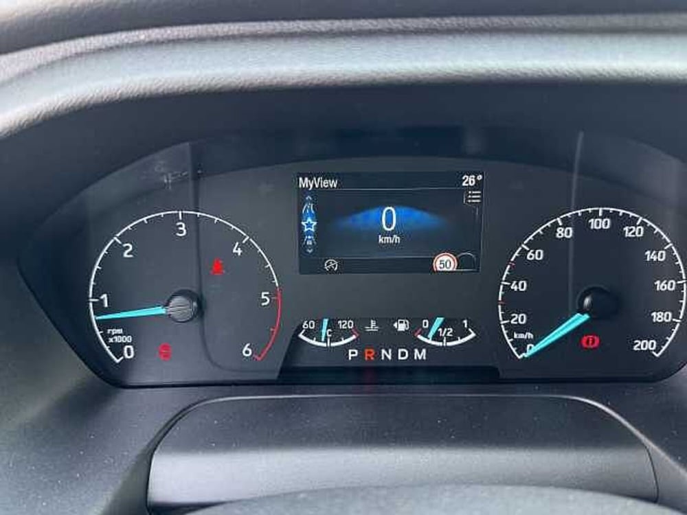 Ford Tourneo Custom usata a Torino (19)