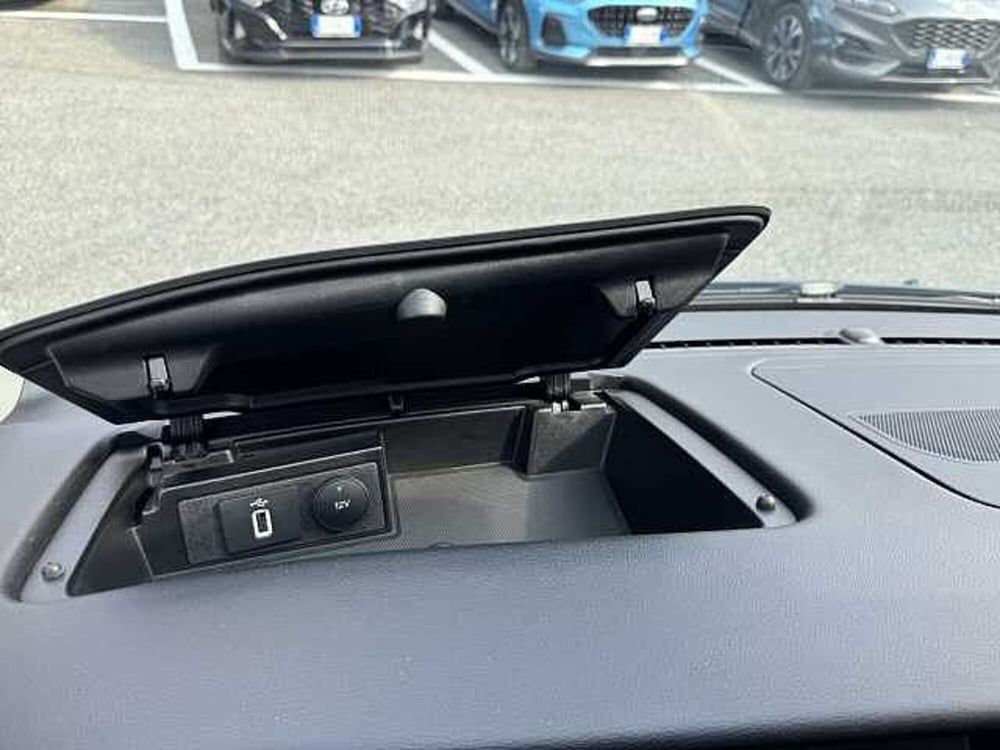 Ford Tourneo Custom usata a Torino (20)