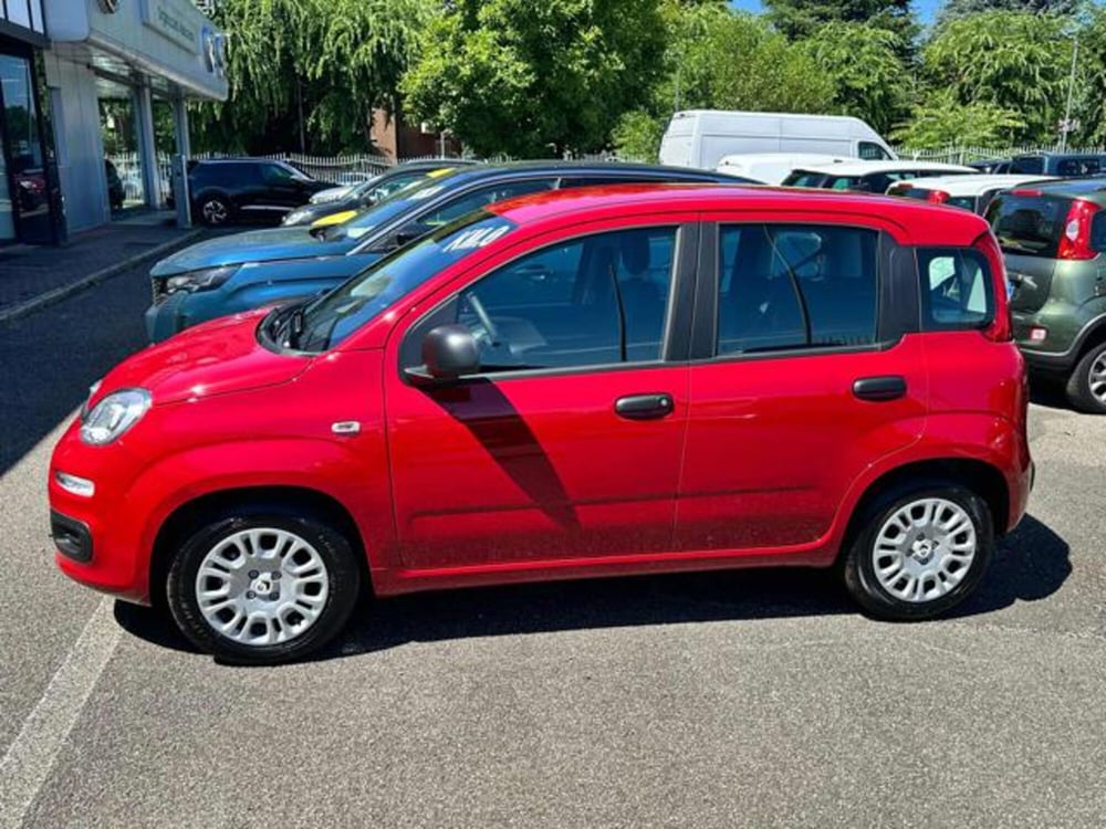 Fiat Panda nuova a Milano (4)