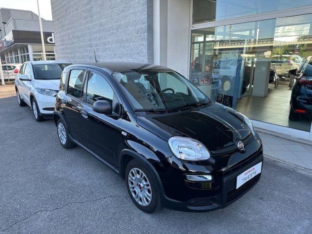 Fiat Panda usata a Trieste