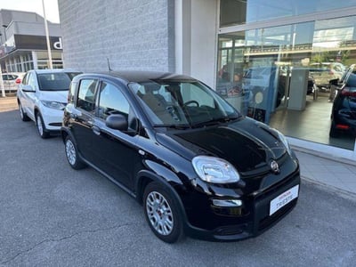 Fiat Panda 1.0 FireFly S&amp;S Hybrid del 2023 usata a Muggia
