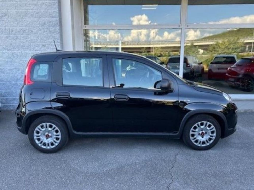Fiat Panda usata a Trieste (3)