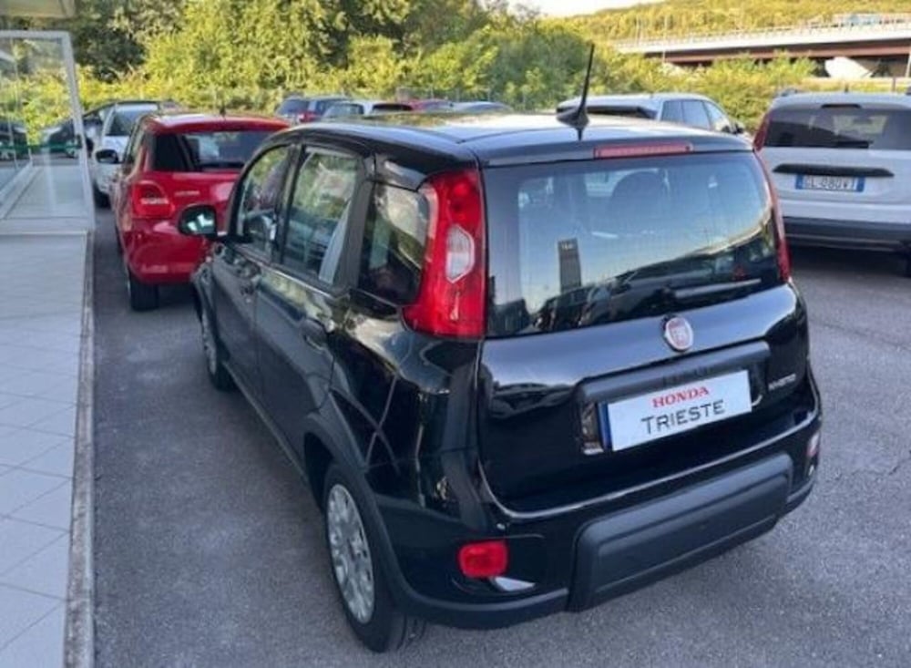 Fiat Panda usata a Trieste (4)