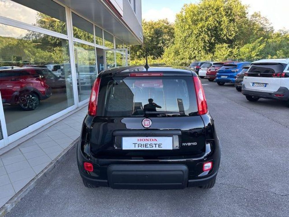 Fiat Panda usata a Trieste (5)
