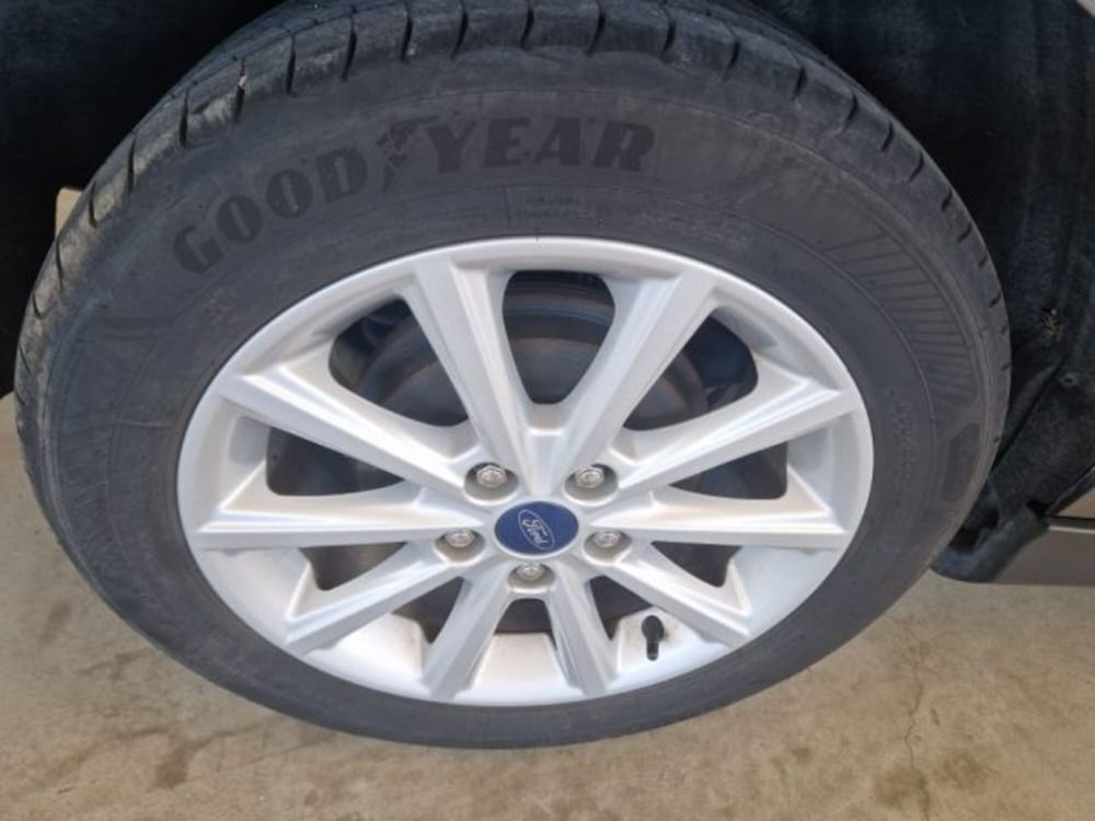 Ford Focus usata a Terni (10)