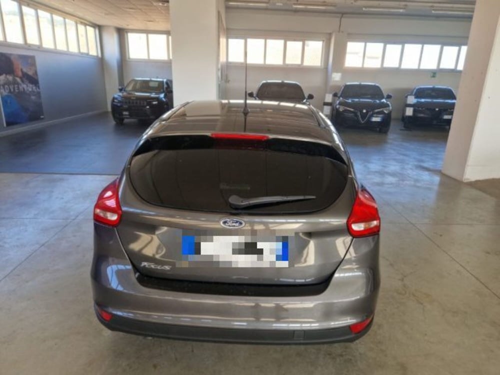 Ford Focus usata a Terni (6)