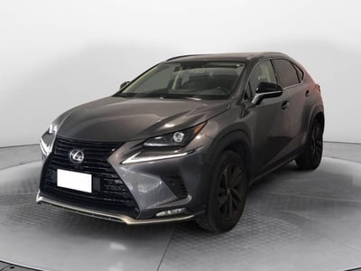 Lexus NX Hybrid 4WD Premium del 2021 usata a Torino