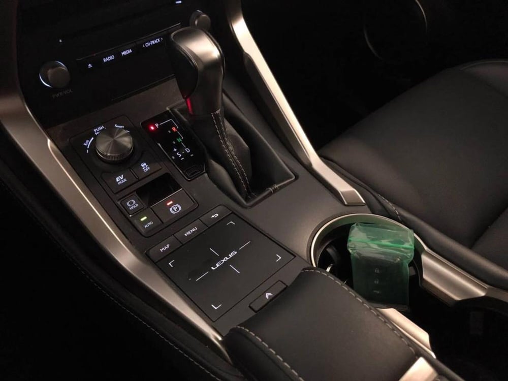 Lexus NX usata a Torino (15)