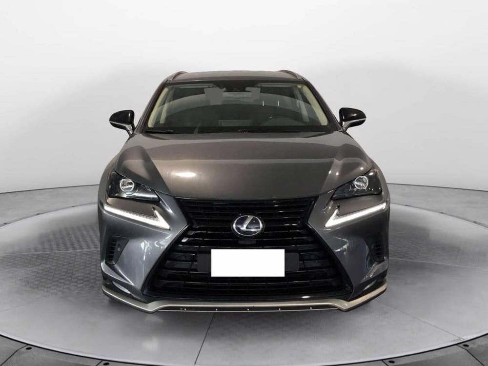 Lexus NX usata a Torino (2)