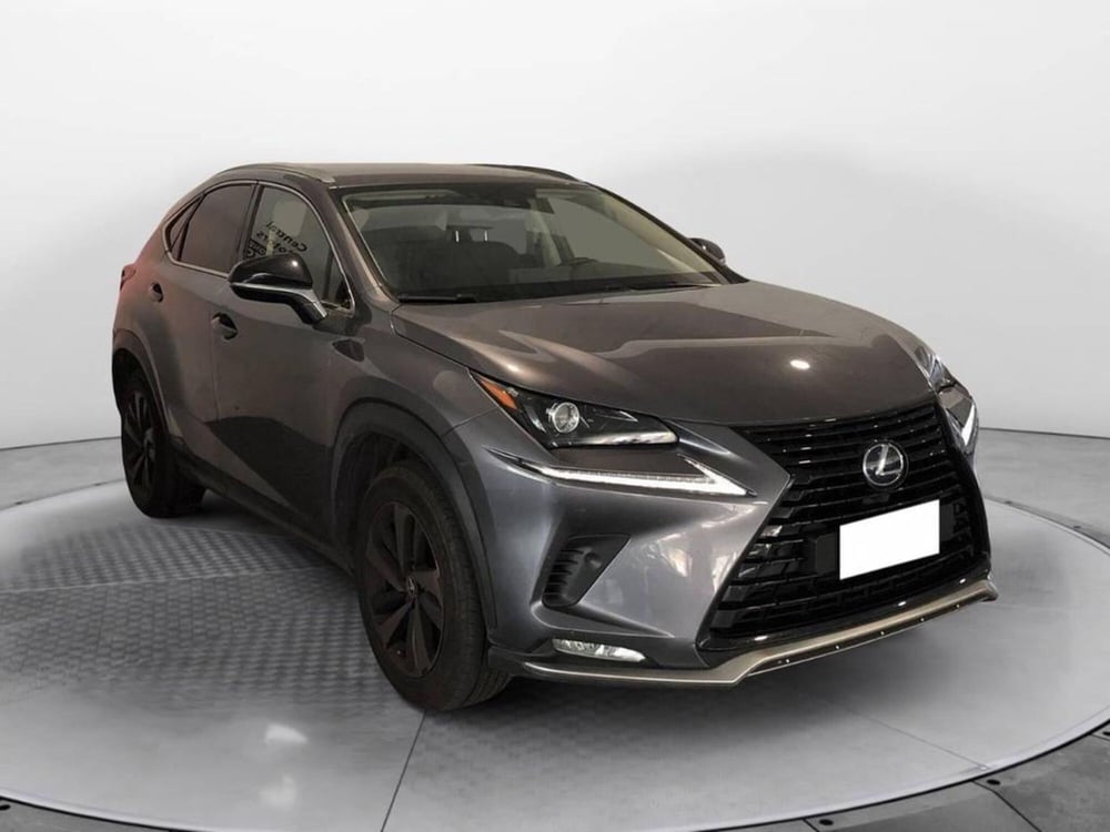 Lexus NX usata a Torino (3)