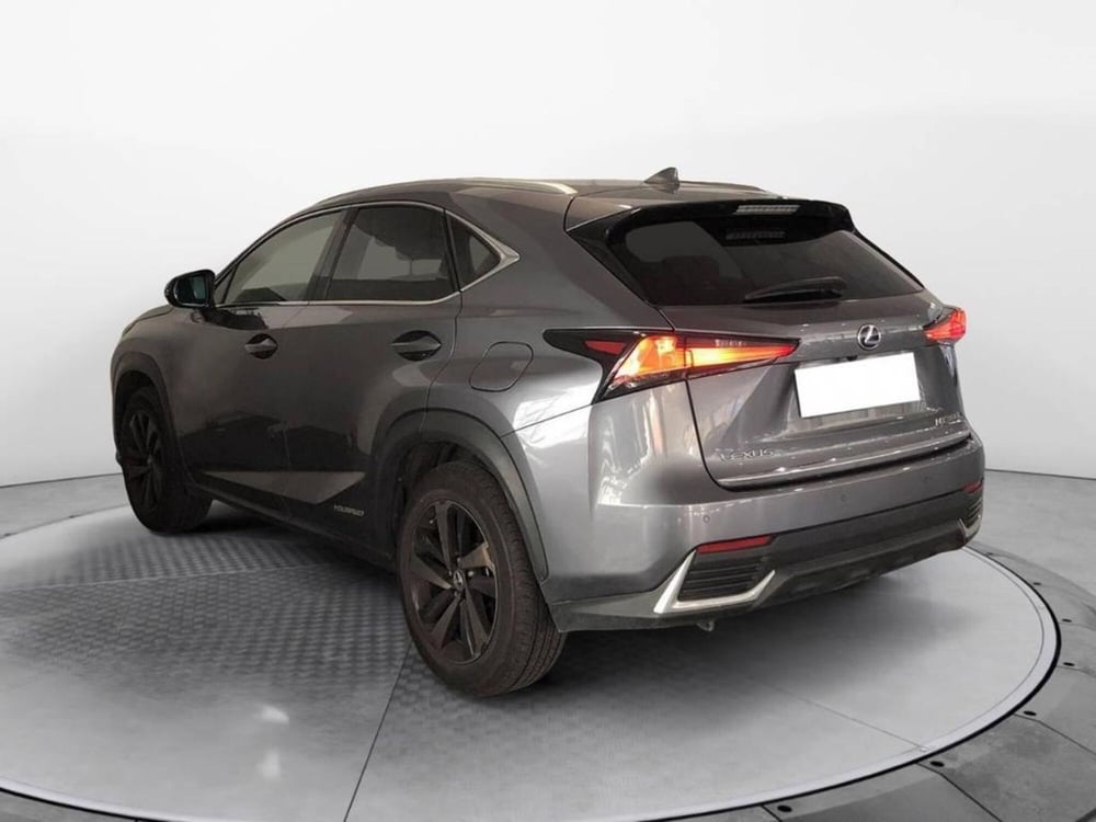 Lexus NX usata a Torino (6)