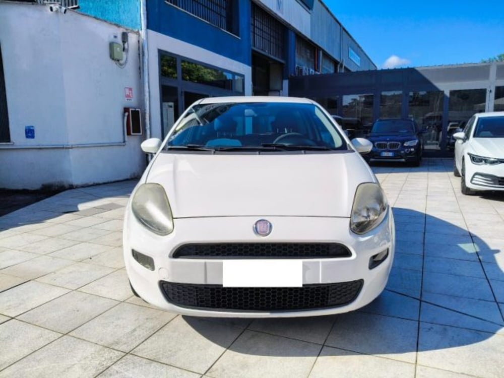 Fiat Punto Evo usata a Firenze (2)