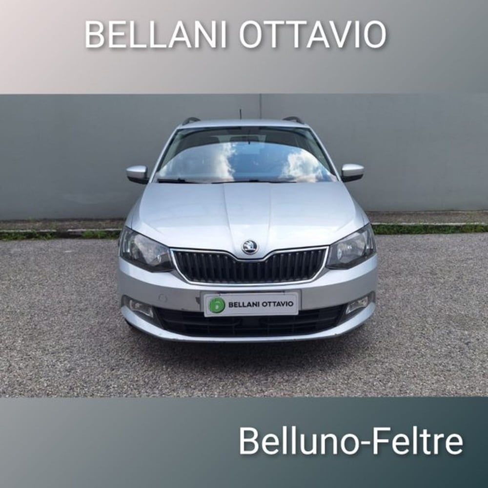 Skoda Fabia Station Wagon usata a Belluno (2)