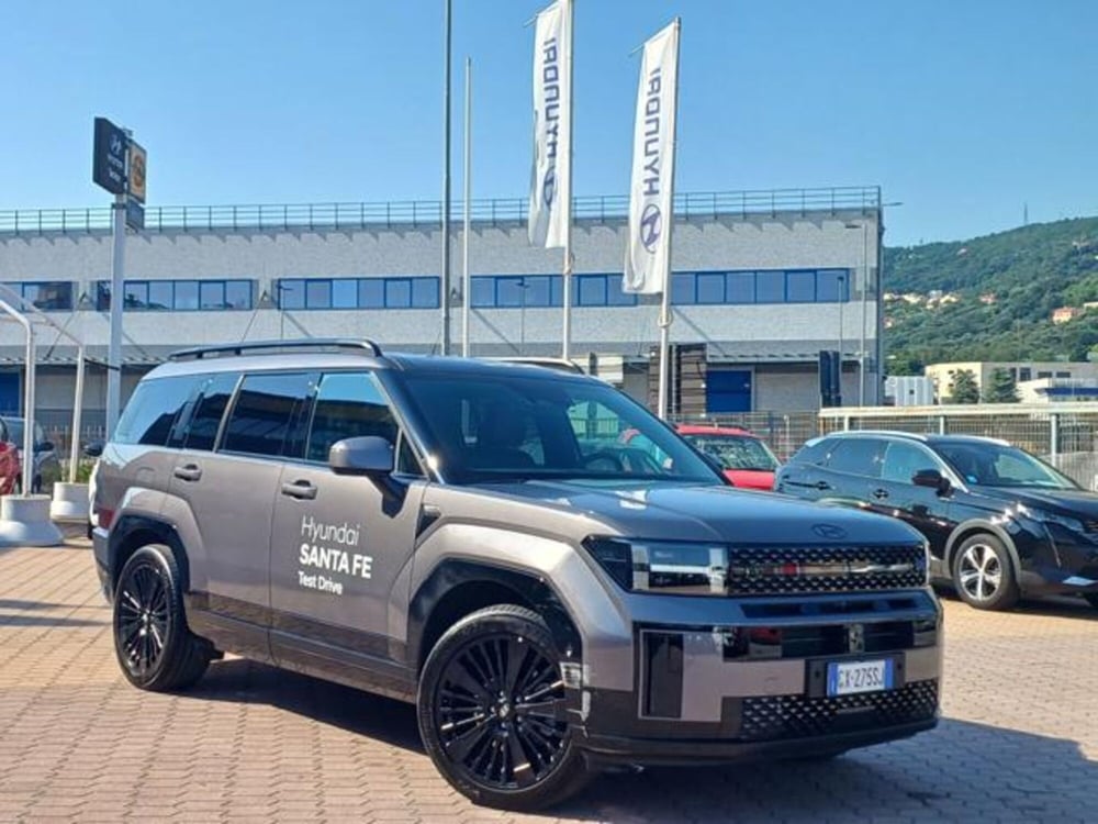 Hyundai Santa Fe usata a Savona (4)